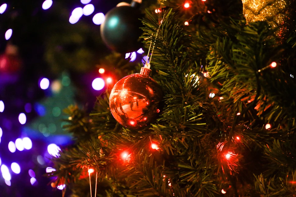 Три из четырех основных елок Оренбурга откроются 26 декабря.