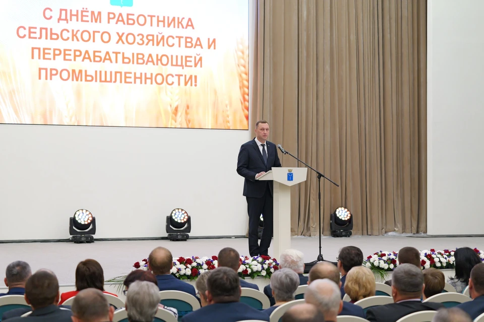 Фото: Пул Z 64