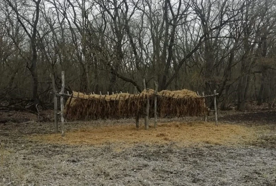 Фото: минприроды СК