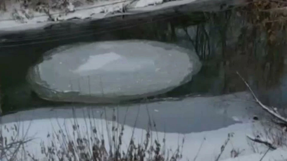 Фото: t.me/tomsk_region70