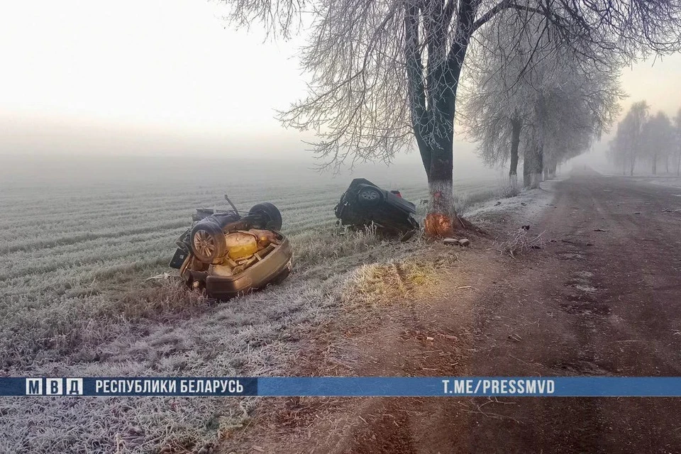 Смертельное ДТП случилось под Веткой, автомобиль разорвало на части. Фото: телеграм-канал МВД Беларуси