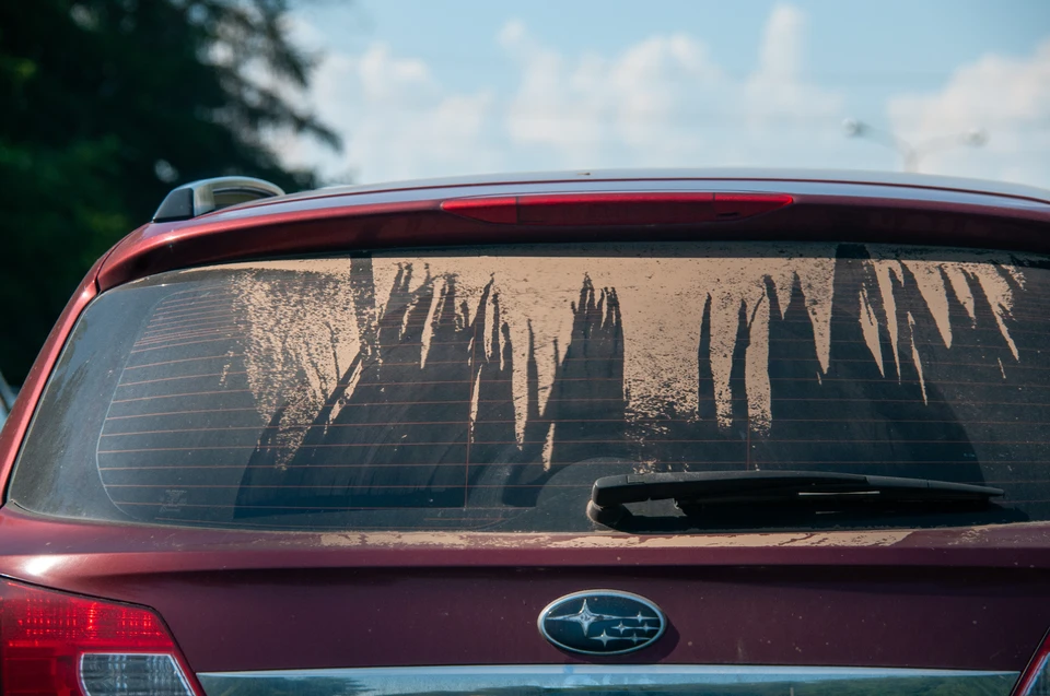 Новый форестер / Global Look Press