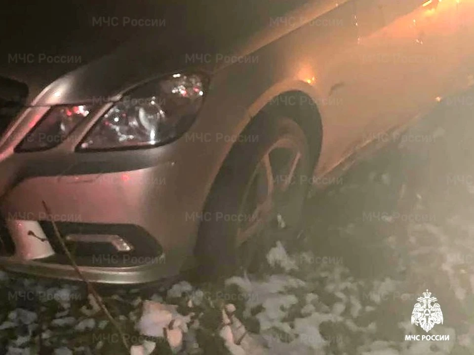 Двое калужан пострадали в ДТП с участием дикого животного.