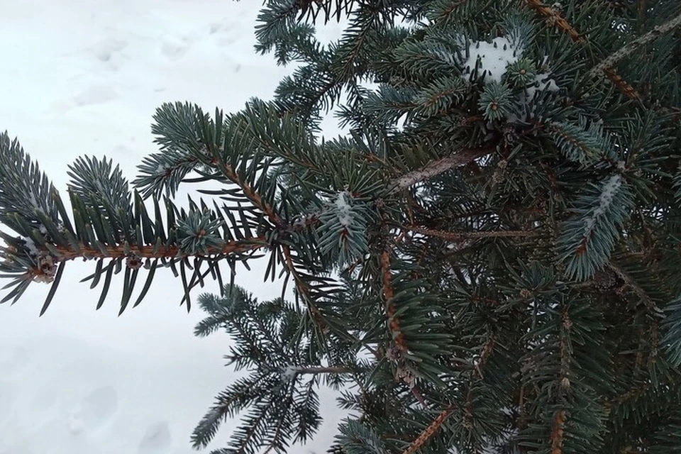 Погода на Ямале с 17 по 23 ноября