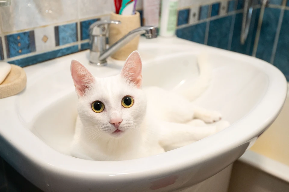 Работы продлятся с 09:00 до 17:00