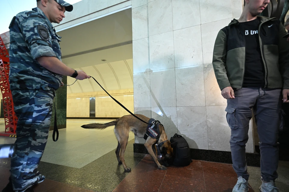 Нижегородцам рассказали, куда сообщать о подозрительных предметах.