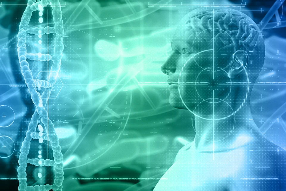 Фото: ru.freepik.com.