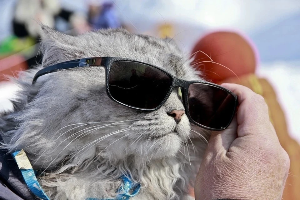 Почему Москва ощущает «погодные качели»: синоптик назвал конкретную причину