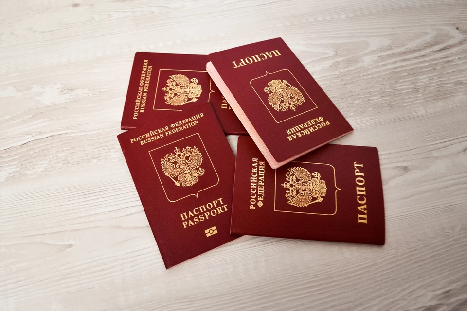 В ГД напомнили о необходимости оформления детям загранпаспортов для выезда из РФ