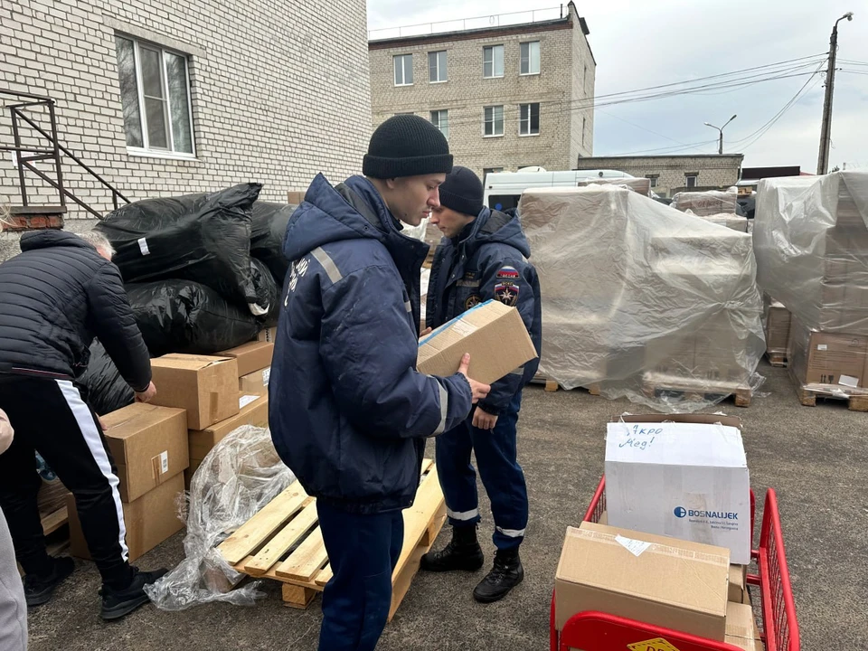 Фото: Ресурсный центр поддержки добровольчества Псковской области.