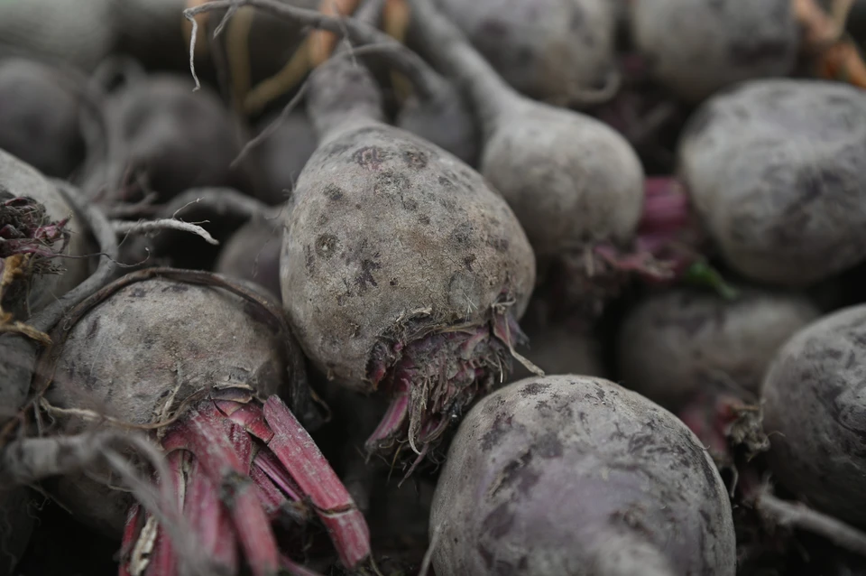 В Башкирии зафиксированы изменения цен на продукты.