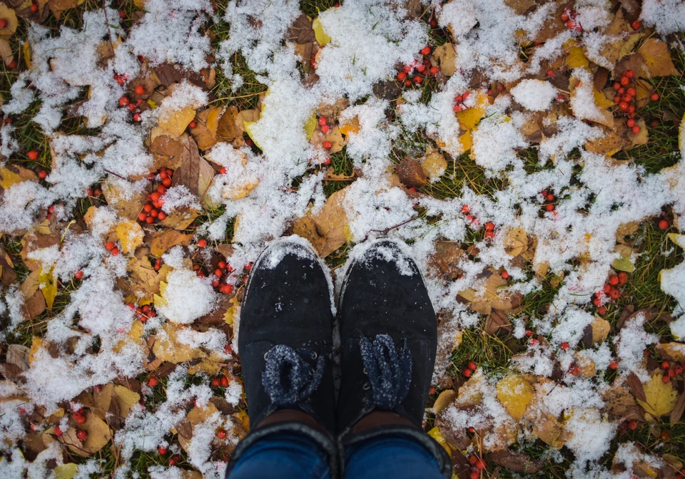 Осень уступает место зиме.