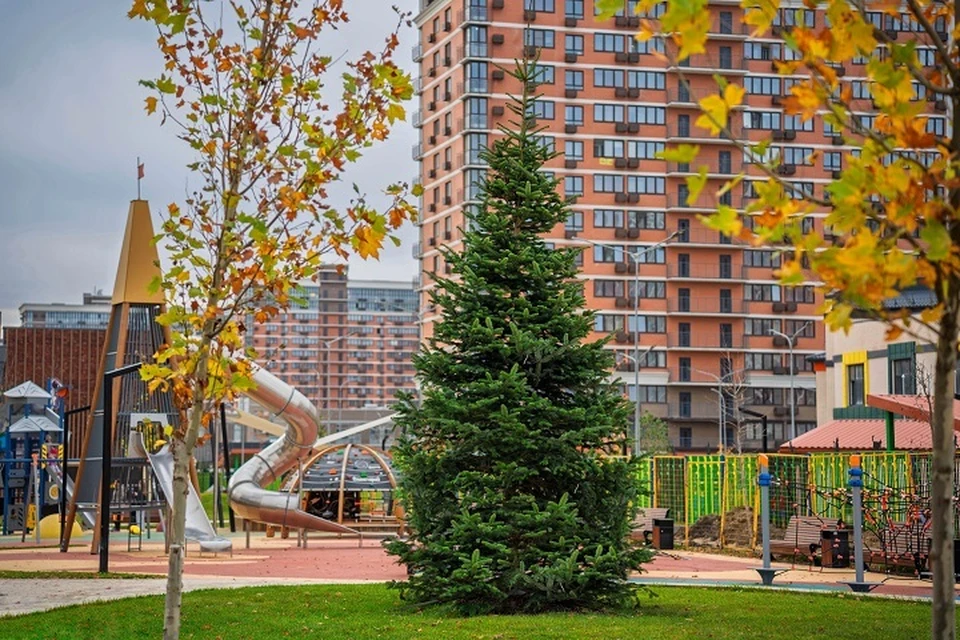 Фото: пресс-служба СК DOGMA