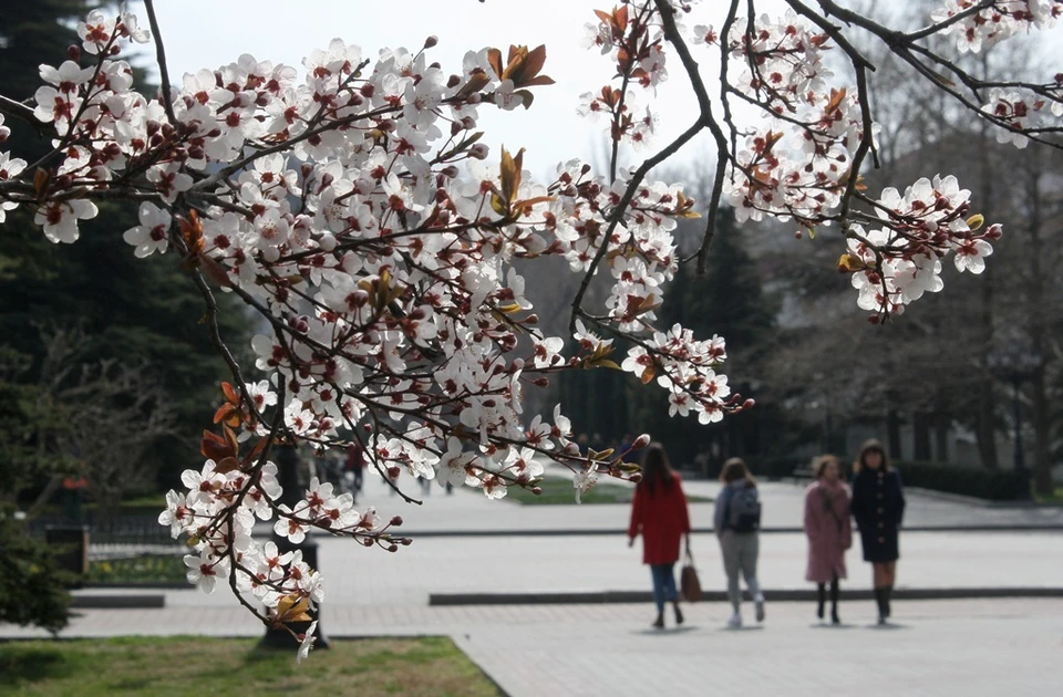 Город-герой признан одним из самых зеленых в России