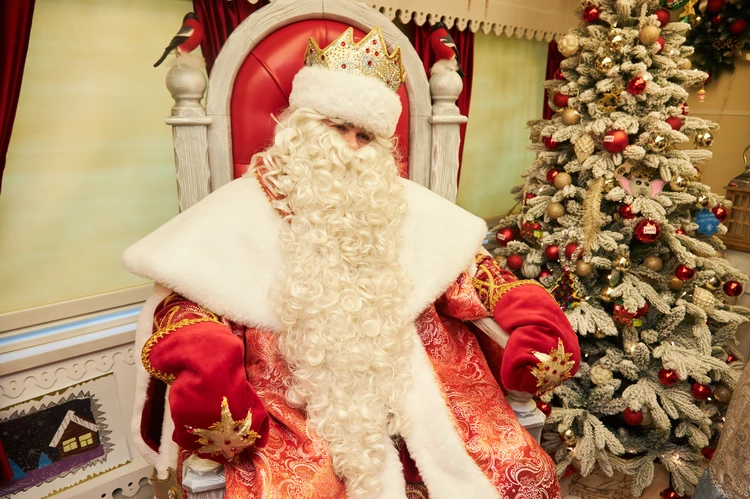 Спасти Деда Мороза и попасть на фабрику волшебства: какие новогодние елки пройдут в Новосибирске