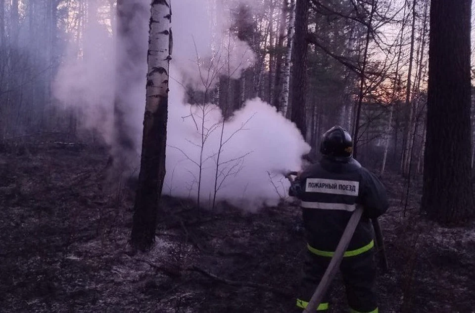На место отправлен пожарный поезд. Фото: пресс-служба СвЖД