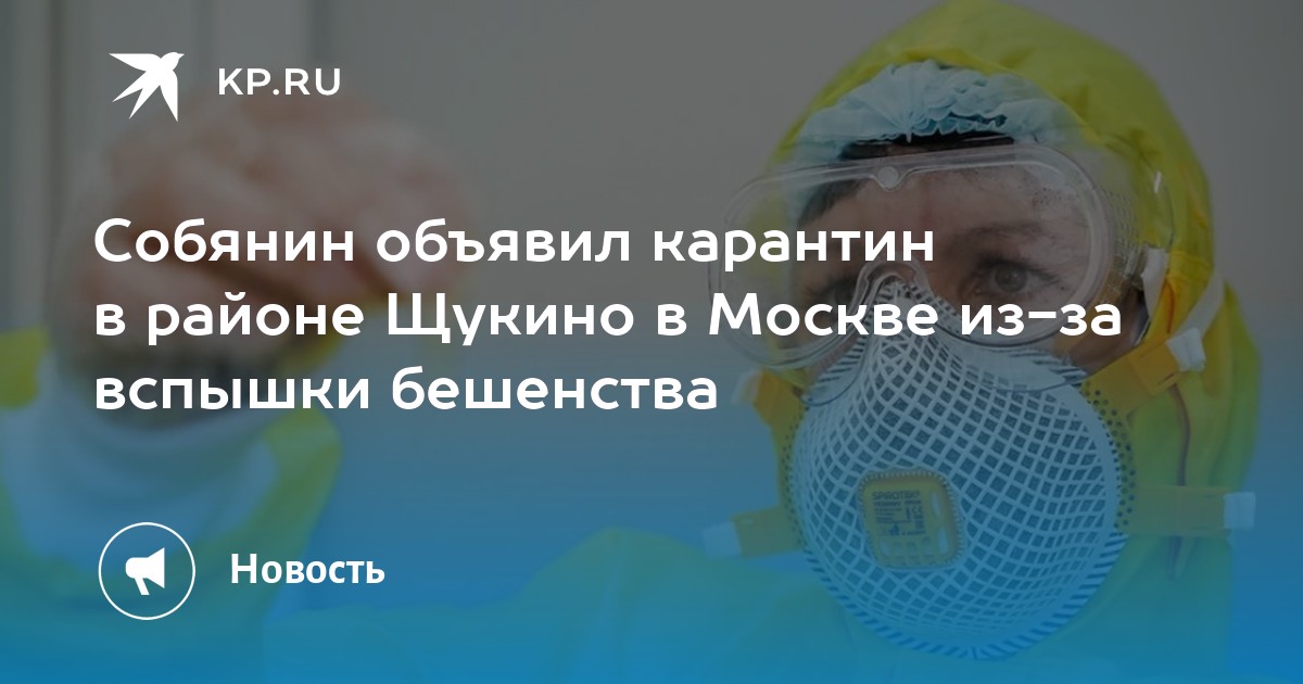 Собянин объявил карантин в районе Щукино в Москве из-за вспышки бешенства