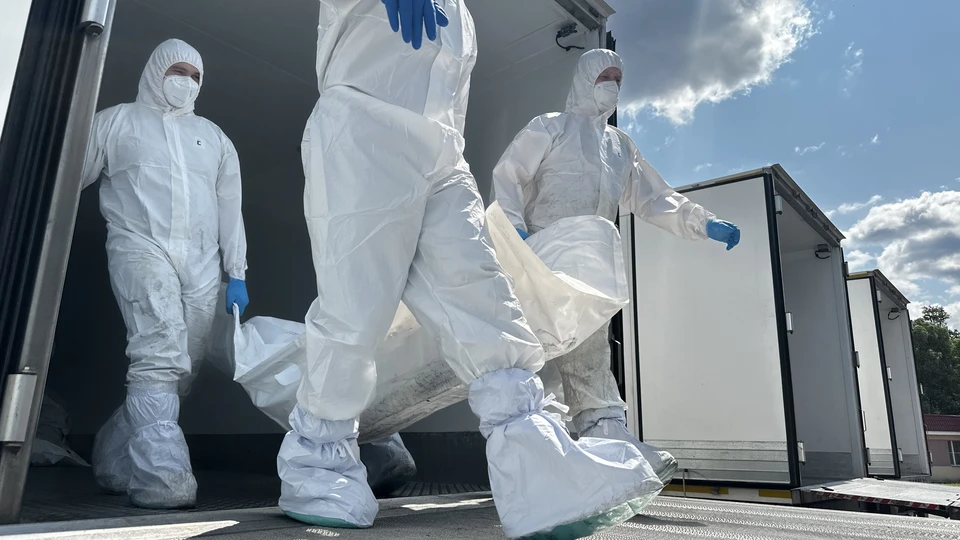 Россия и Украина произвели обмен телами погибших военнослужащих