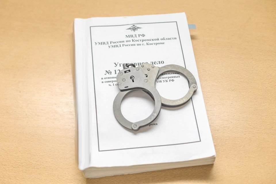 Фото: пресс-служба УМВД России по Костромской области