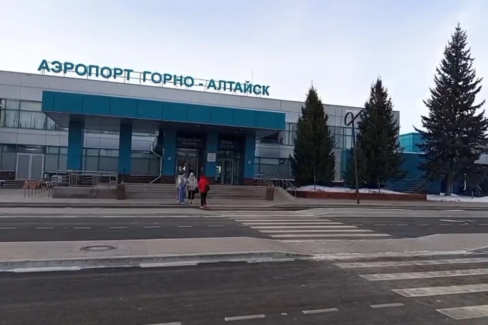 Мужчину сняли с рейса. Кадр видео телеграм-канал Транспортная полиция Сибири