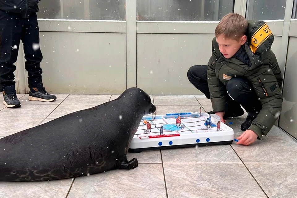Шлиссик проверил знания юных спортсменов. Фото: «Фонд друзей балтийской нерпы»