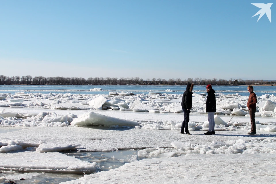 Пока не установились морозы, гулять по водоемам крайне опасно.
