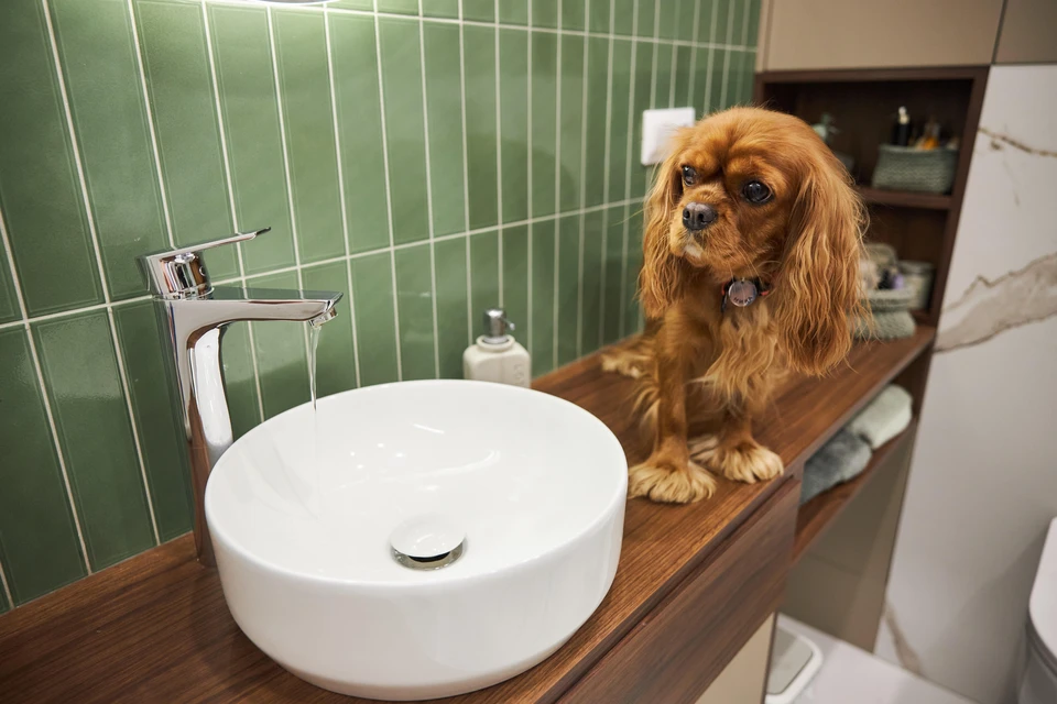 Отключение воды продлится почти сутки.