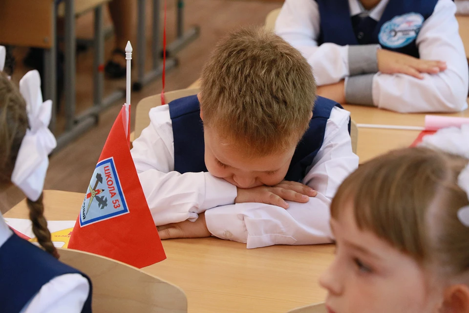 В конце осени мы чаще замечаем, что ребенок вялый, не может собраться, нахватал двоек в школе, часто болеет. Это может быть как следствием перегрузок, так и нехваткой важных элементов.