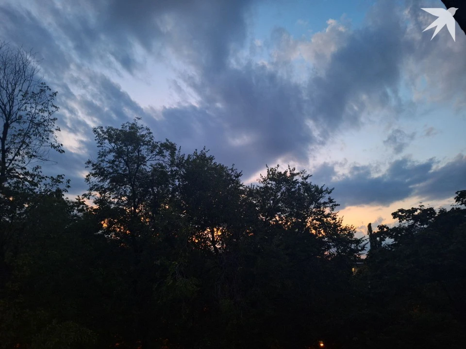 Будет облачно и днем, и ночью. Фото: КП