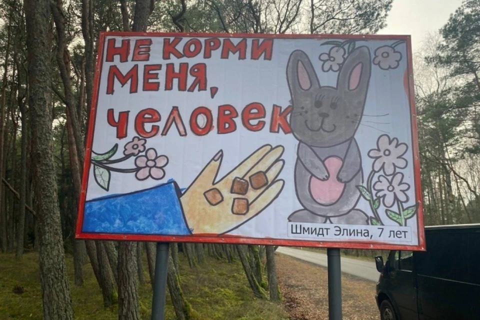 Наглядная агитация в максимально доступной форме.