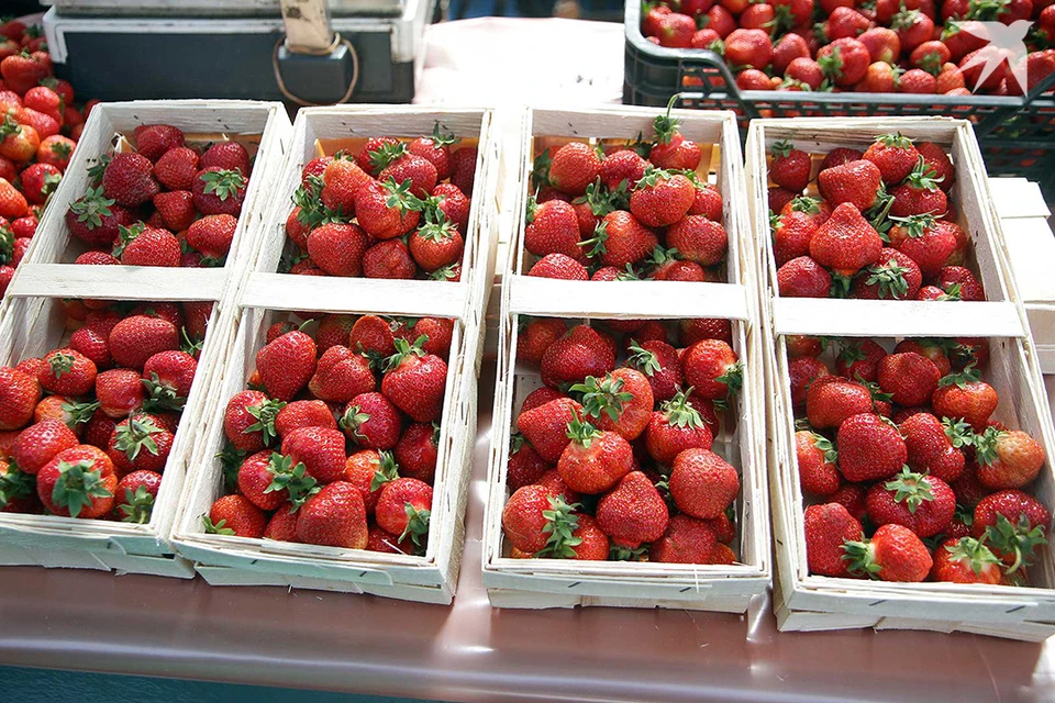 Одна из первых ассоциаций с районом, названным Русым, - изобилие клубники. Фото носит иллюстративный характер.