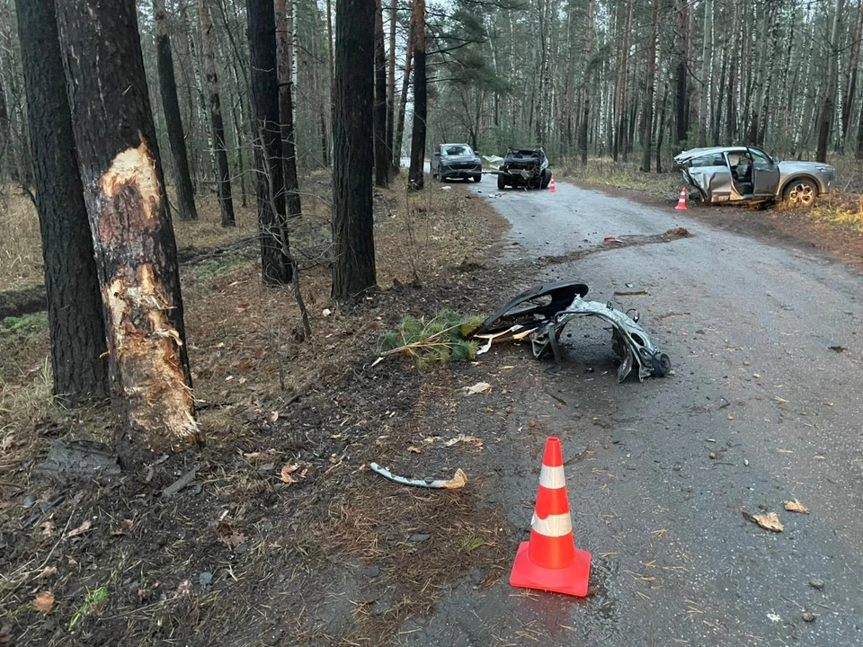 Смертельная авария случилась ранним утром. Фото Госавтоинспекции УМВД России по Липецкой области.