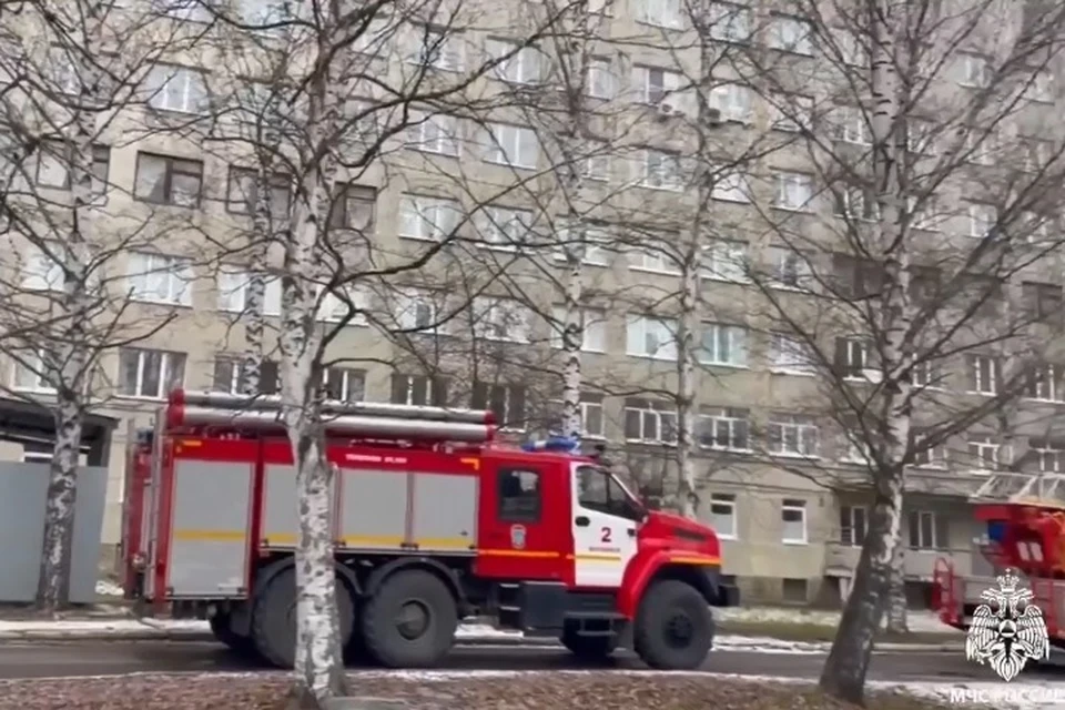 На пожаре никто не пострадал. Фото: скриншот видео МЧС Удмуртии