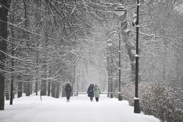 От +1 до -16: синоптики Кузбасса озвучили прогноз с 25 по 27 ноября