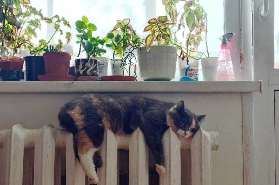 Отопление и горячую воду отключат в Иркутске 26 ноября.