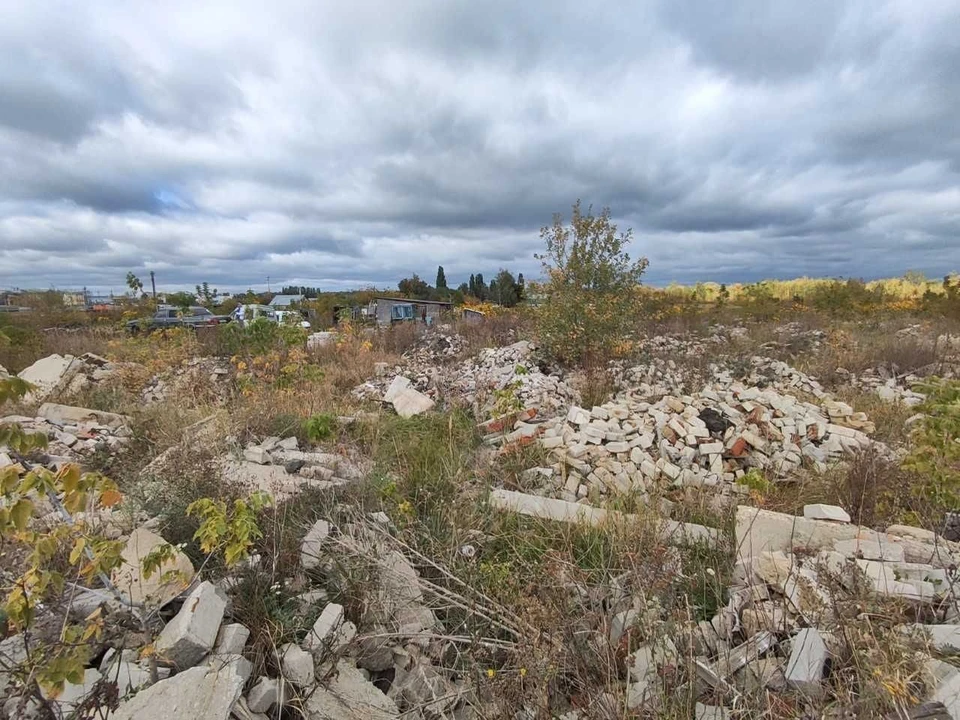 Фото предоставлено Министерством природных ресурсов и экологии Липецкой области.