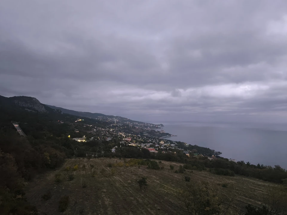 В Крыму установили 65 карантинных зон из-за угрозы плодоовощной продукции