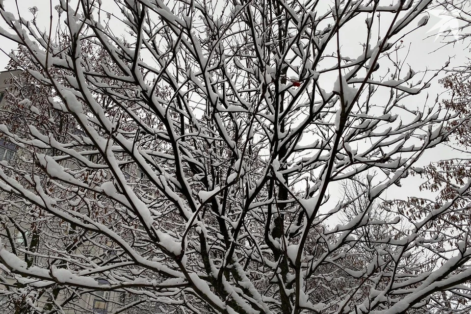 Узнали приметы и запреты на 27 ноября, когда отмечают Филиппов день. Снимок носит иллюстративный характер. Фото: архив «КП»