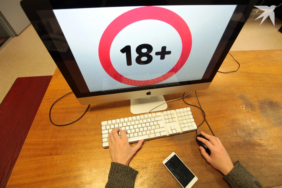 Подросток из Могилевской области отправила интимное видео за премиум-аккаунт, возбуждено уголовное дело. Фото используется в качестве иллюстрации: архив «КП».