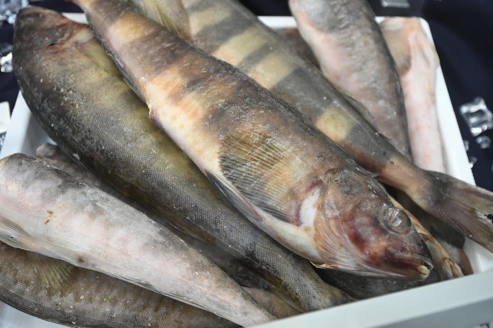 Рыбные ларьки по типу газетных появятся в Петербурге.