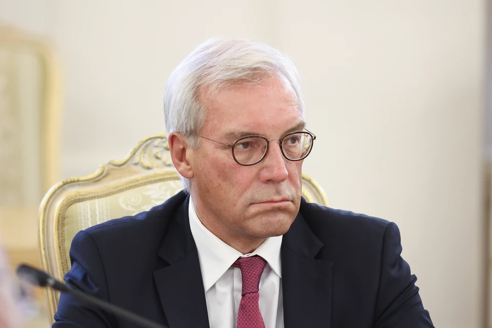 Замглавы МИД России Александр Грушко