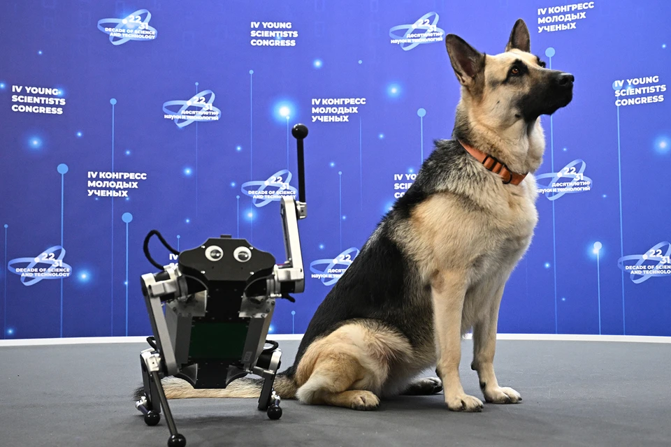 - Пупупу*. - Ну как,Шарик, день прошел? Фото: Sergey Bobylev/Photohost agency of Young Scientists’ Congress