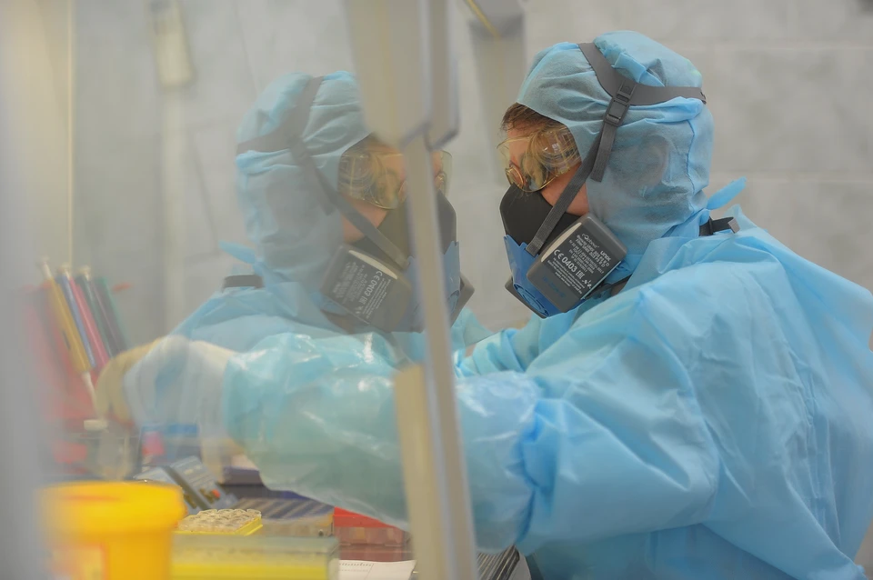 Врач рассказал, откуда в Европу пришёл супергрибок, вызывающий зуд в паху и ягодицах.