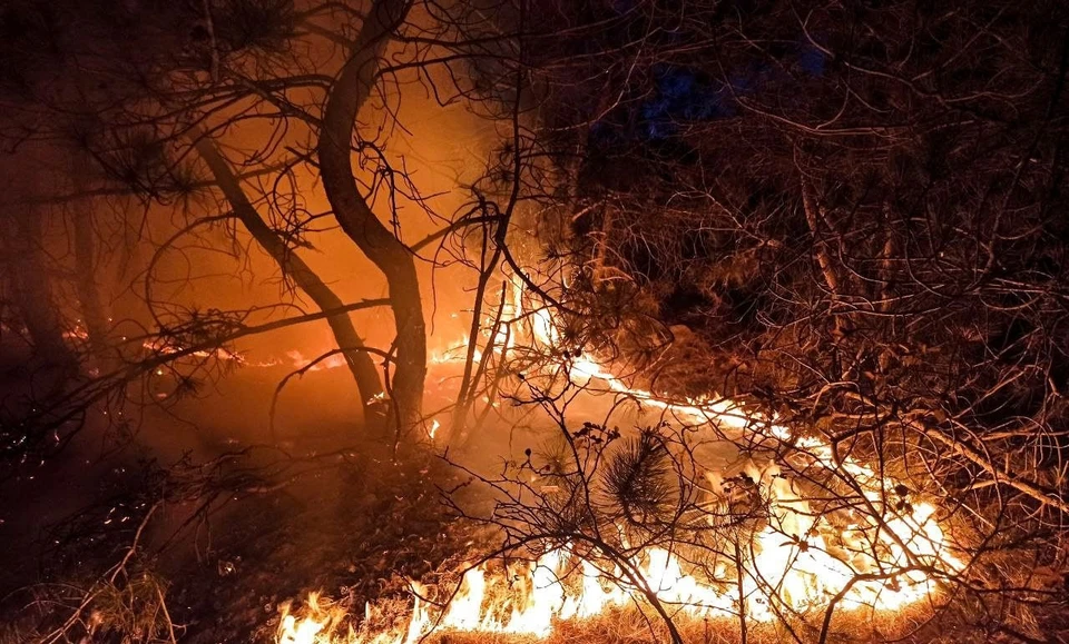 Пожар в Балаклаве потушили силы МЧС России. Фото: МЧС Севастополя/Tg