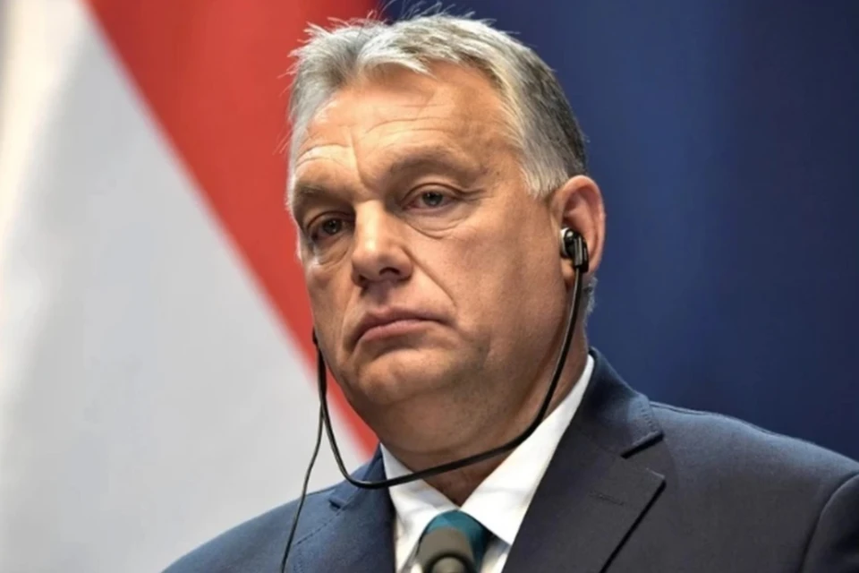 Зарубин: Сийярто помог переводчице Орбана, которая не услышала слова Путина