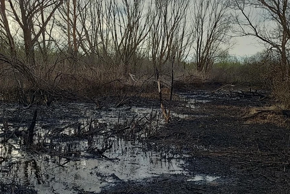 Фото: Нижне-Волжское Управление Росприроднадзора