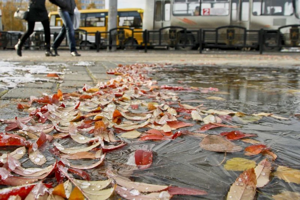 На Кубань придут ночные заморозки