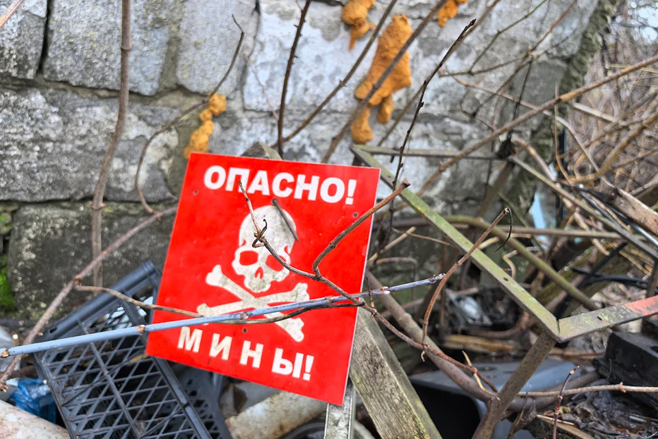 Выводы организации основаны на собранных ею материалах и наблюдениях