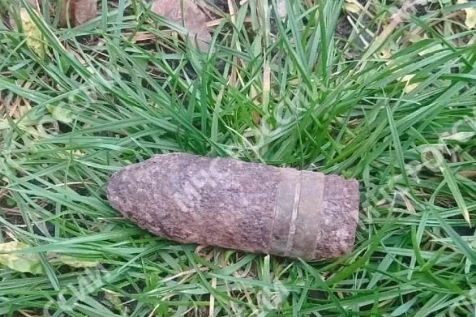 Фото: пресс-служба ГУ МЧС России по Брянской области.