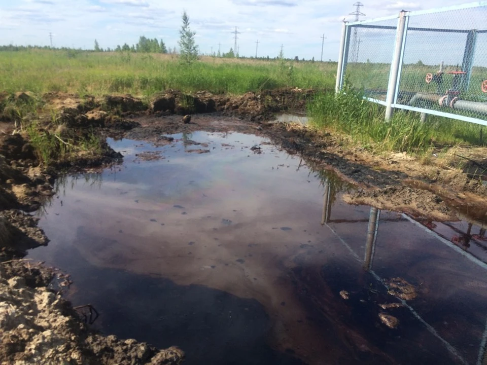 Фото: прокуратура Томской области